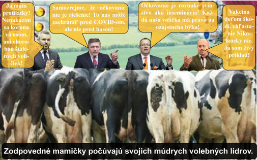 Ako kde majú teľce? (Pardon, deti).